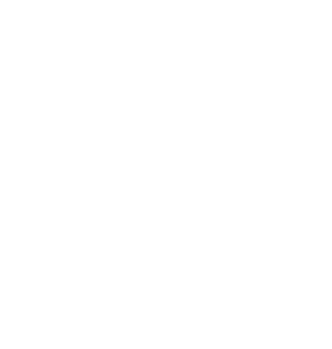 Jobelsa logo