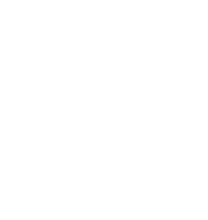 Mobitim logo