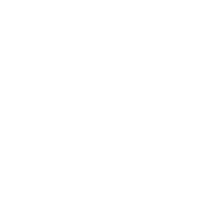 NLR logo