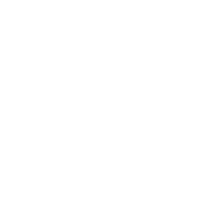 SB logo