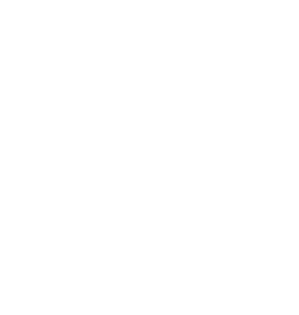 Stengele logo