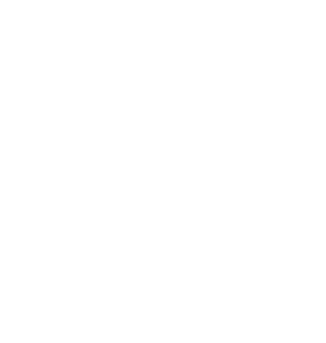 Teisa logo
