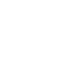 VF logo